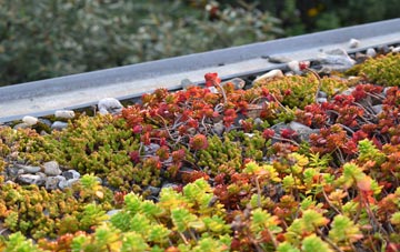 the cost of Oathill green roof installation