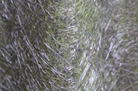 Oathill fibreglass roof work